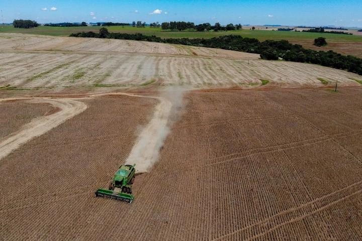 conjuntura agropecuaria 24 03 2023