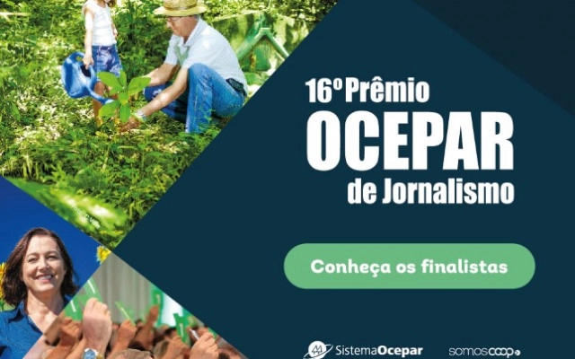 jornalismo destaque 18 07 2024