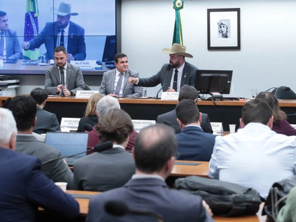 legislativo II 14 08 2024