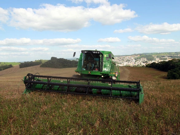 conjuntura agro 20 09 2024