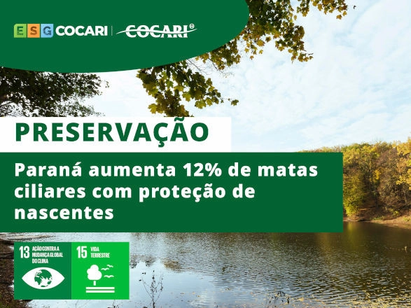 cocari 01 10 2024