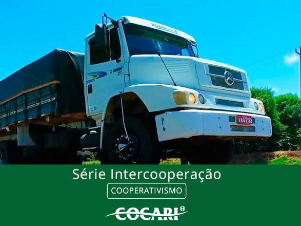 cocari 08 10 2024