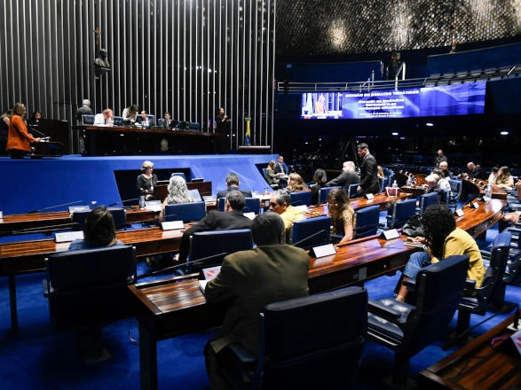 legislativo 08 10 2024
