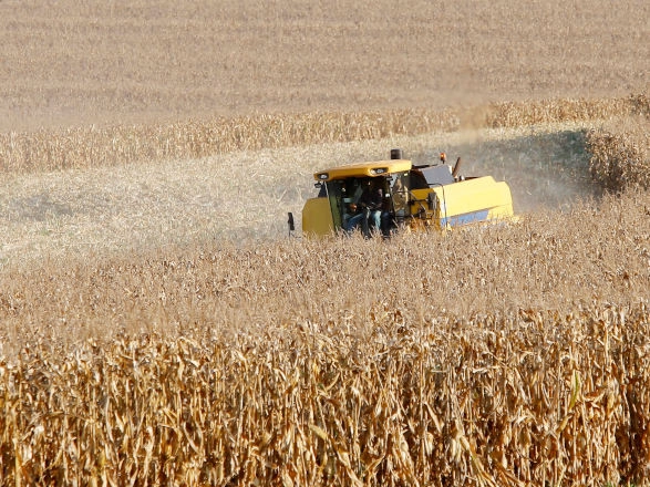 conjuntura agro 18 10 2024