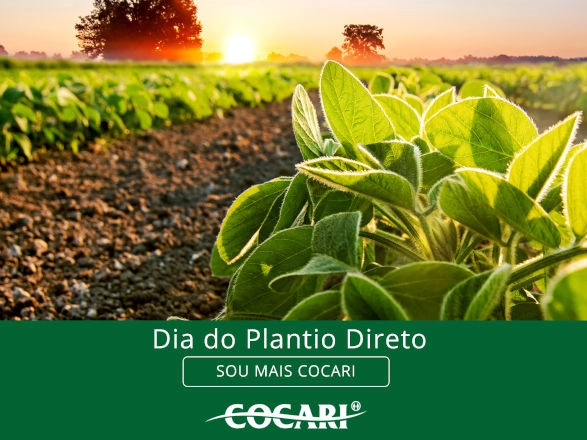 cocari 23 10 2024