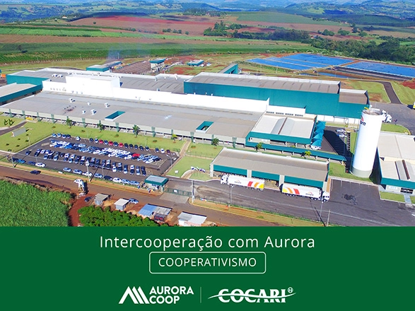 cocari 1 28 10 2024