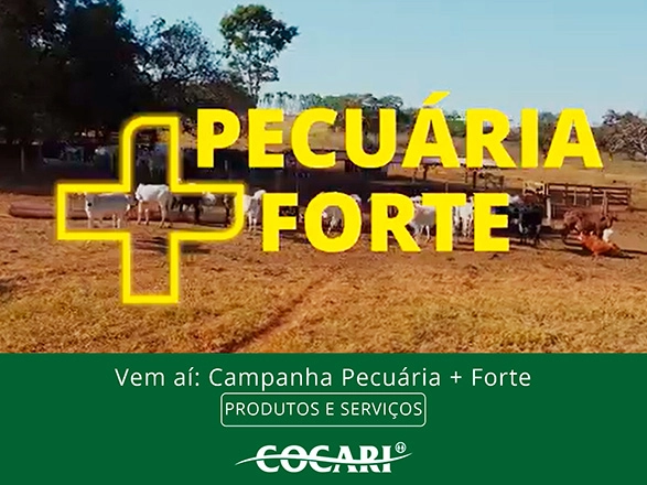 cocari 2 28 10 2024