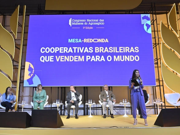 sistema ocb 29 10 2024