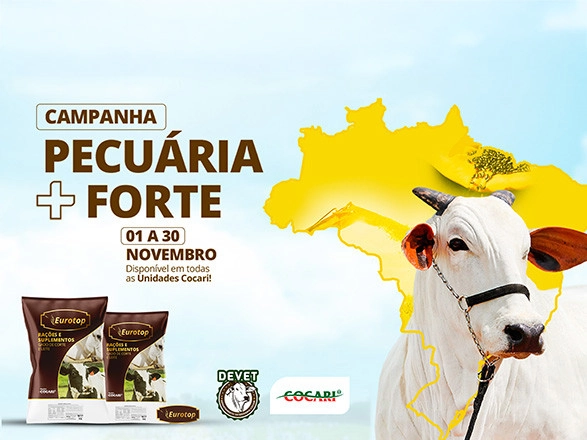 cocari 08 11 2024