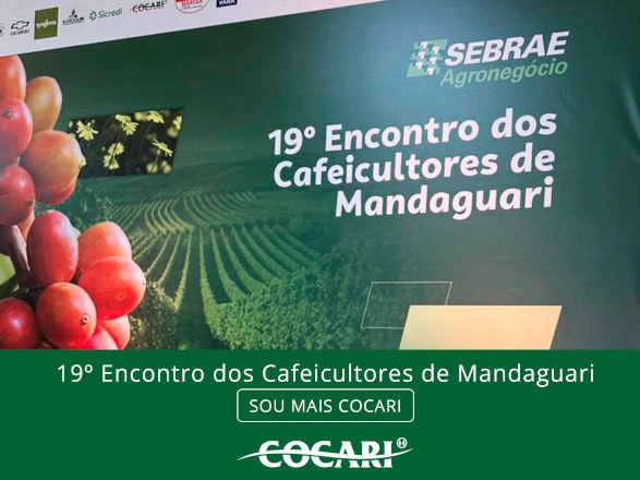cocari 12 11 2024
