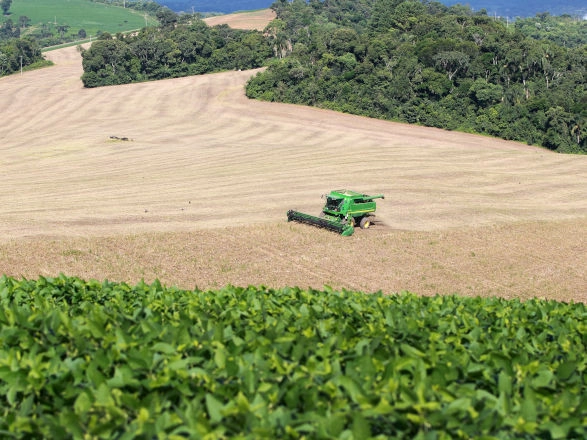 conjuntura agro 14 11 2025
