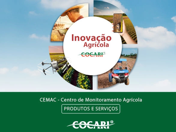 cocari cemac 22 11 2024