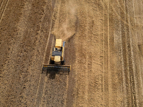 conjuntura agro 22 11 2024