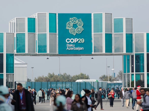 cop 29 11 2024