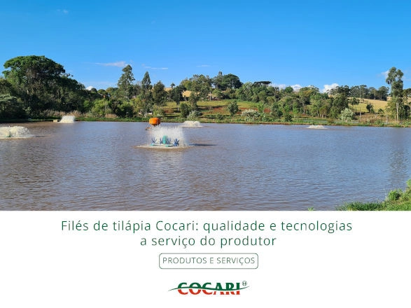 cocari I 29 11 2024