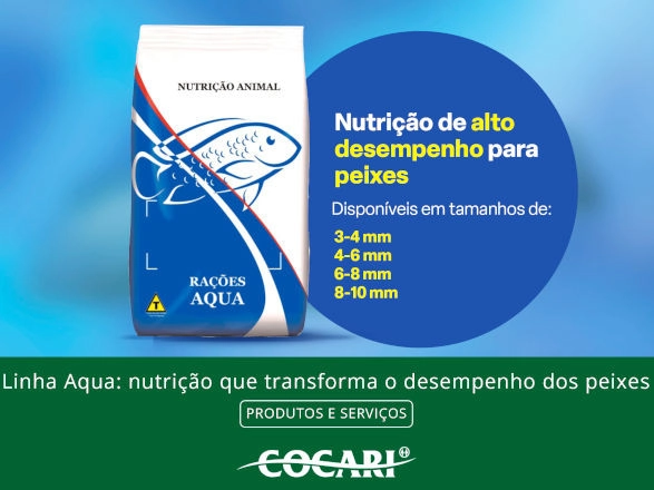 cocari 02 12 2024