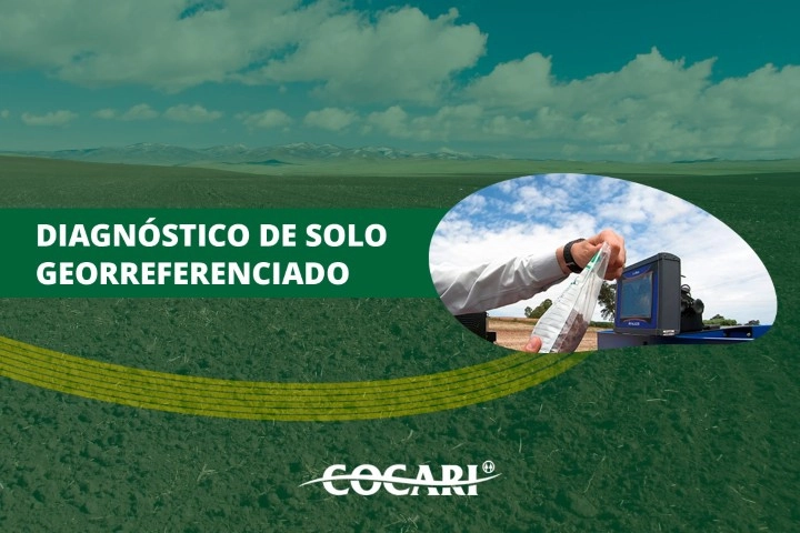 cocari 30 12 24