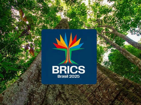brics 06 01 2025