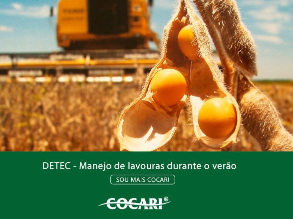 cocari II 07 01 2025