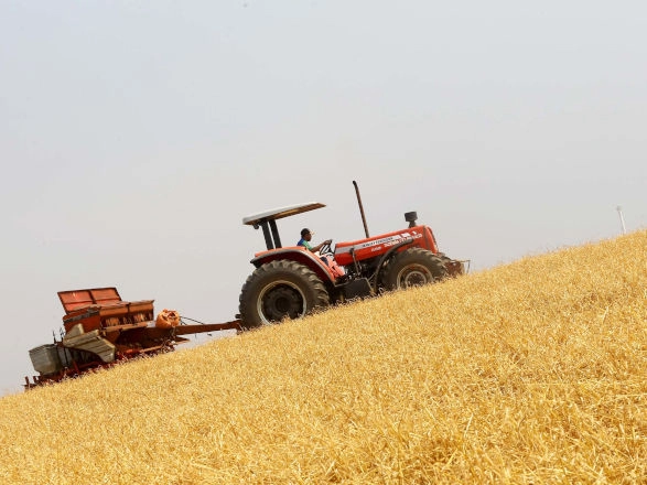 conjuntura agro 10 01 2025
