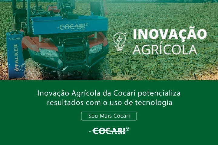 cocari I 17 01 2025