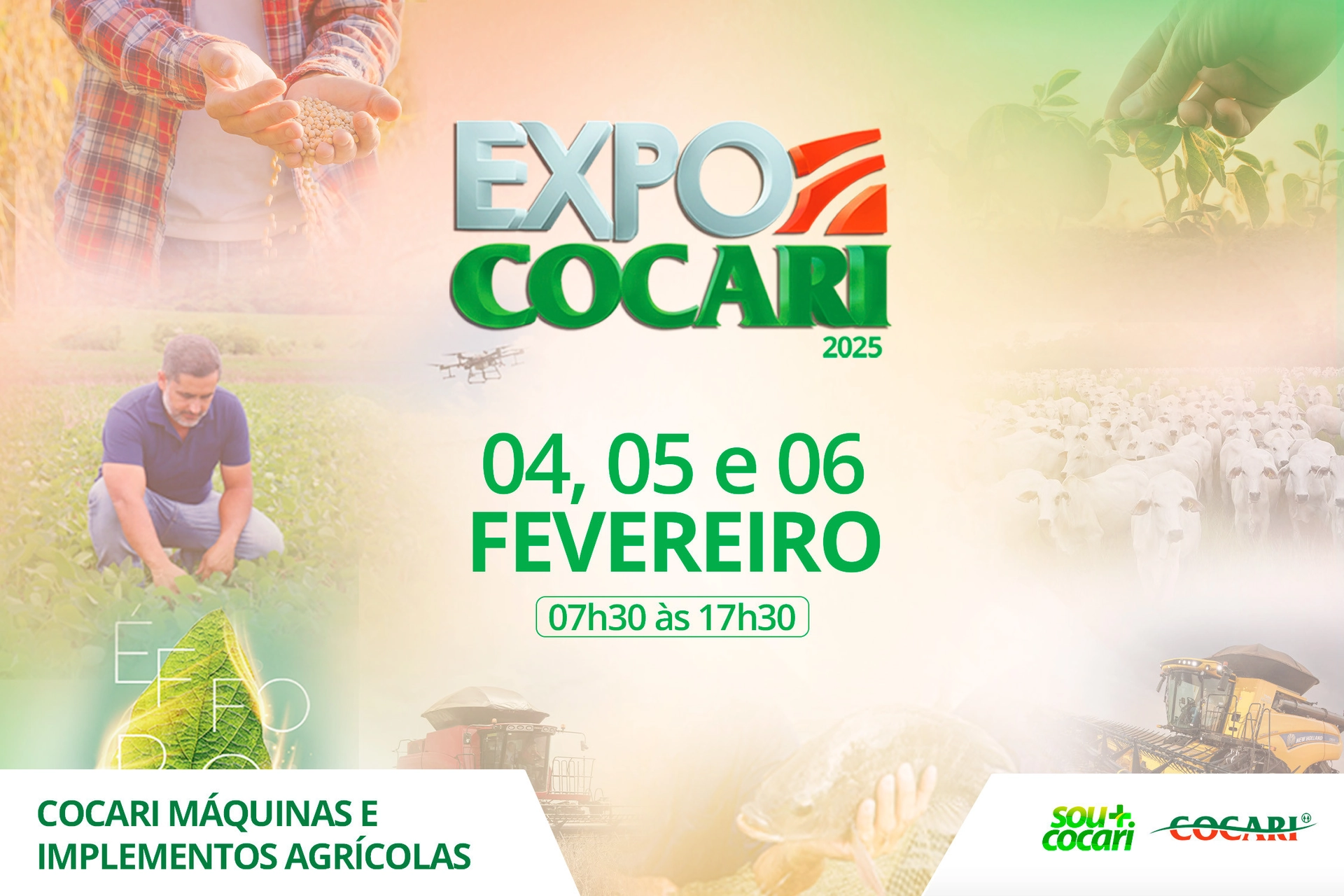 cocari II 24 01 2025
