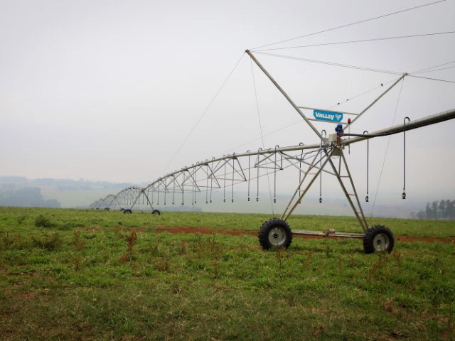 irrigacao 31 01 2025