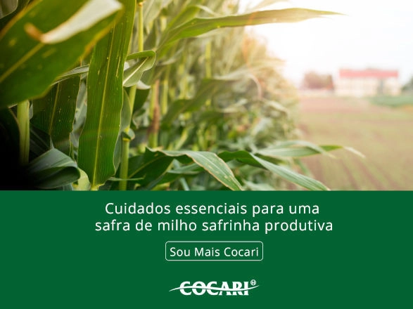 cocari II 21 02 2025
