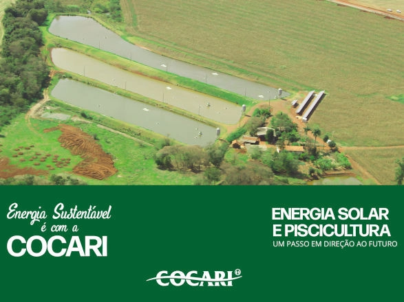 cocari I 25 02 2025
