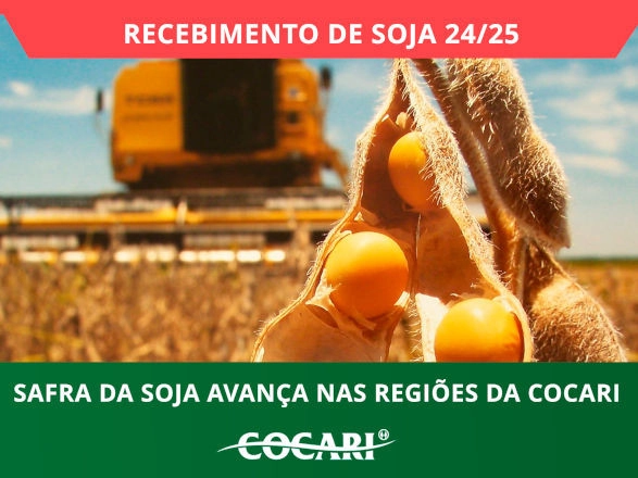 cocari I 28 02 2025
