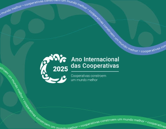 ano internacional 12 03 2025