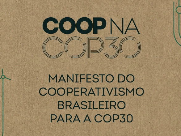 manifesto 21 03 2025
