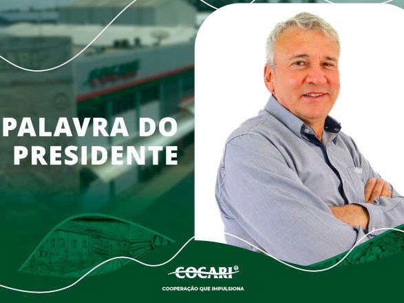artigo 29 05 2025