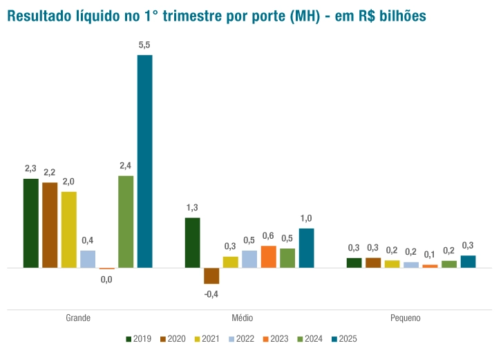 Grfico02ResultadoLquidoPorte