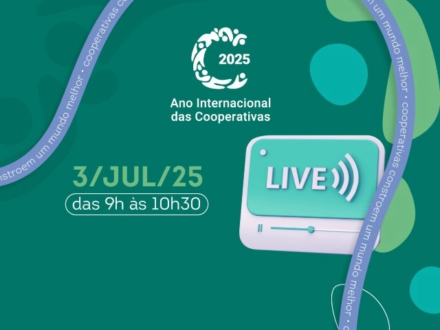 ano internacional 24 06 2025