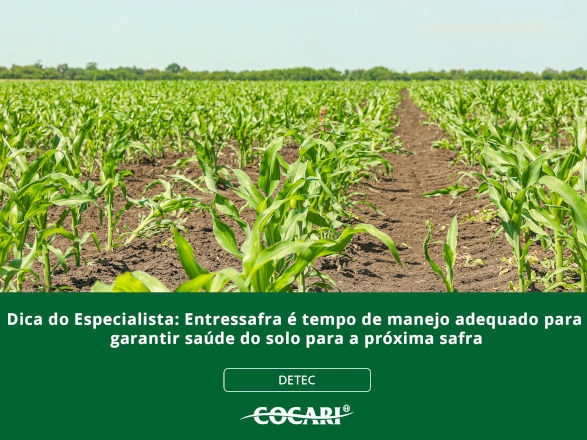 cocari 21 07 2025