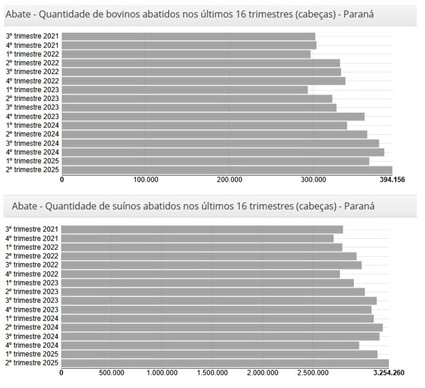 Imagem1