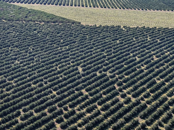 agro parana 01 10 2025
