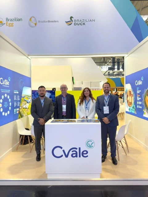 cvale 08 10 2025