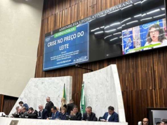 relacoes institucionais 24 10 2025