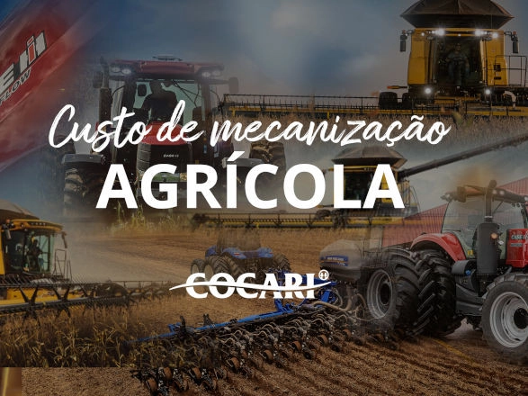 cocari II 26 11 2025