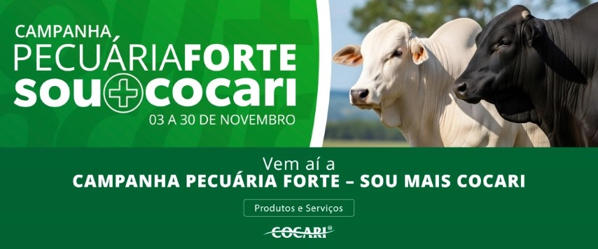 cocari 28 10 2025 