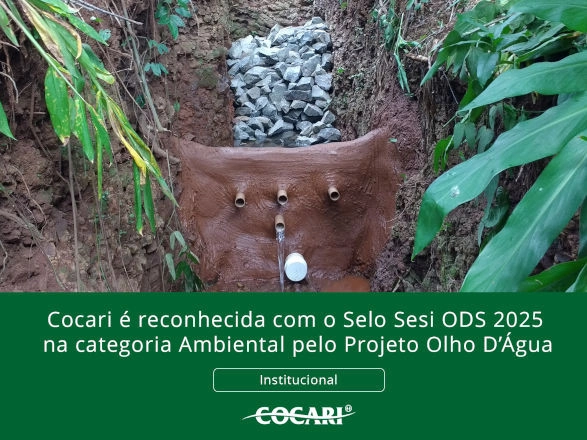 cocari 04 11 2025