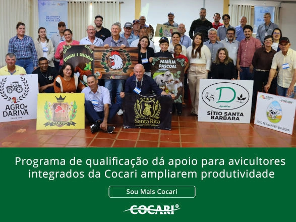 cocari II 11 11 2025