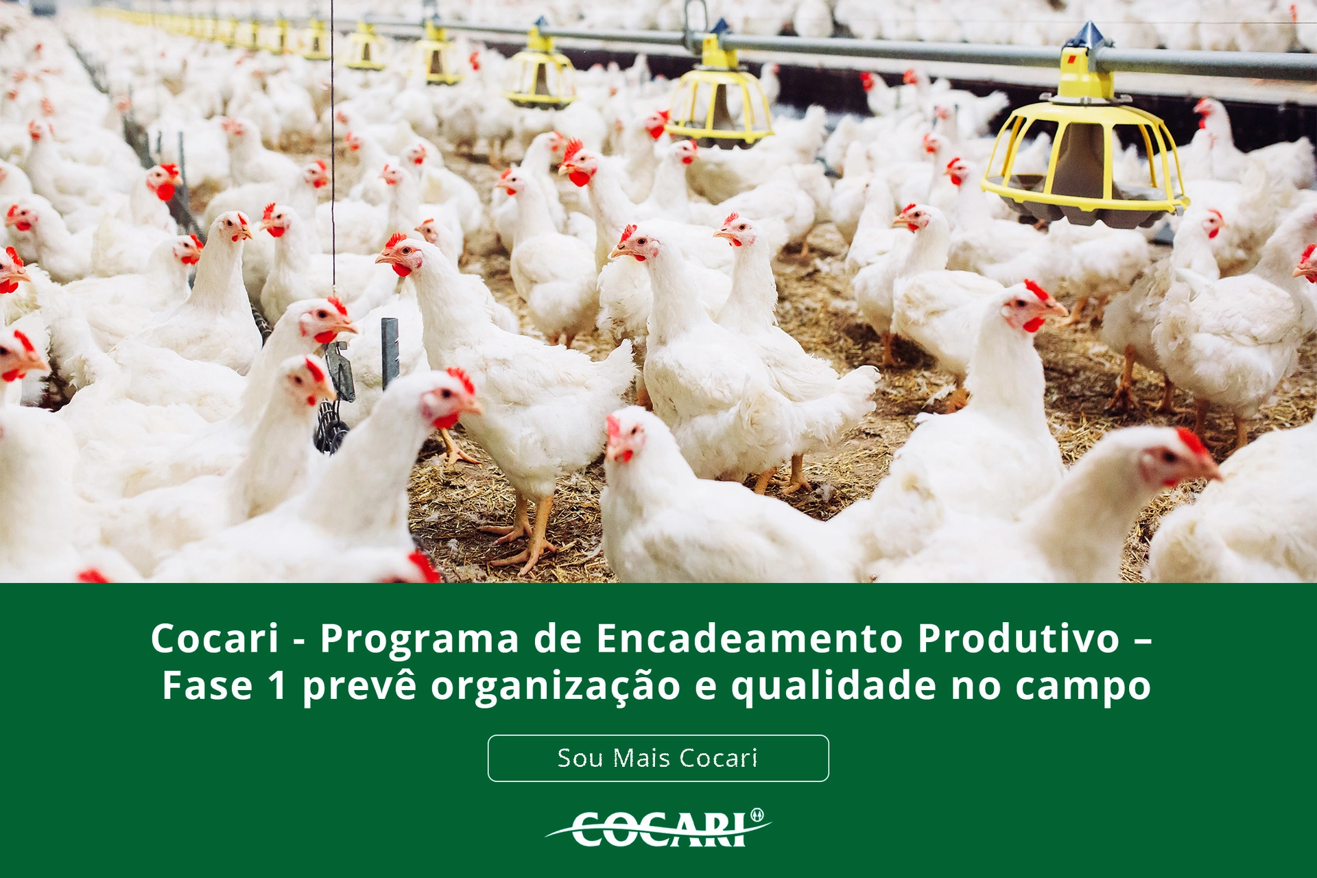 cocari encadeamento