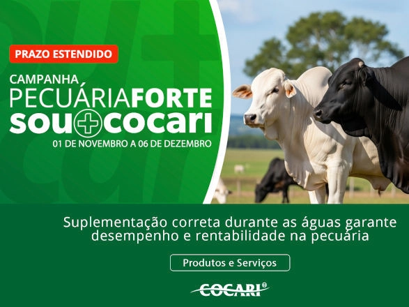cocari II 27 11 2025