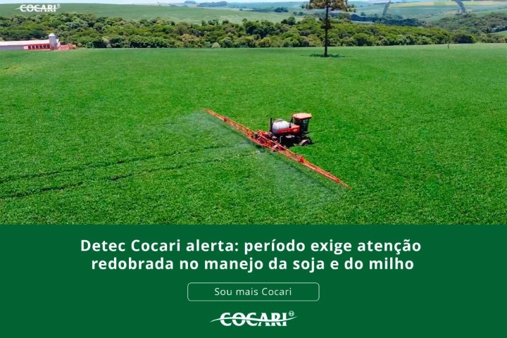 cocari alerta