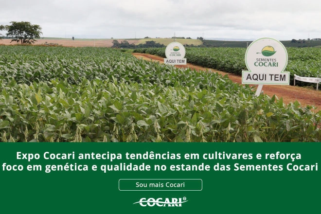 cocari 30 12 2025