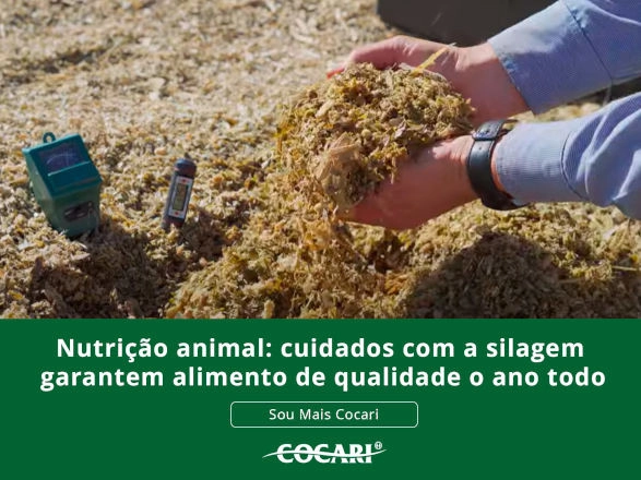 cocari 12 01 2026