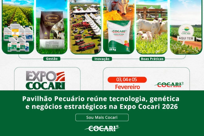 cocari 19 01 2026